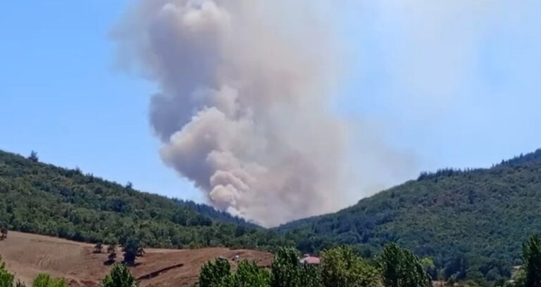 bursada-orman-yangini-mudahale-ediliyor-rjURqDYO.jpg