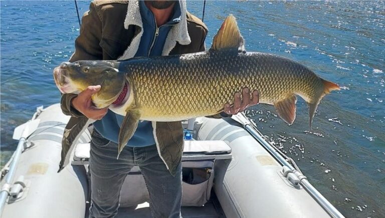 1-metre-boyunda-15-kilo-oltasina-takildi-5vEjFLkj.jpg