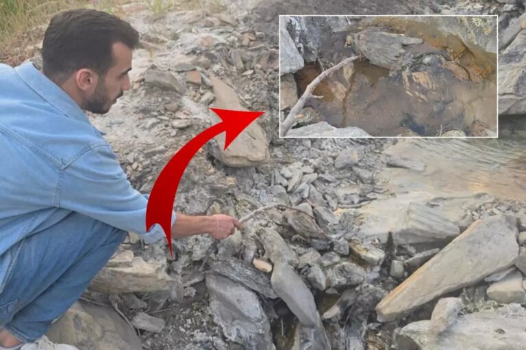 hakkaride-gizemli-vadi-insanlara-sifa-hayvanlara-olum-getiriyor-hpWMyafz.jpg