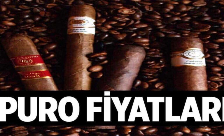 Puro Fiyatlari 1024x622DTf.jpg
