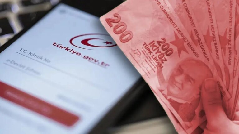 e-devletini-kontrol-etmeyenler-kaybediyor-paralar-devlete-iade-ediliyor-ijNDaHZt.jpeg