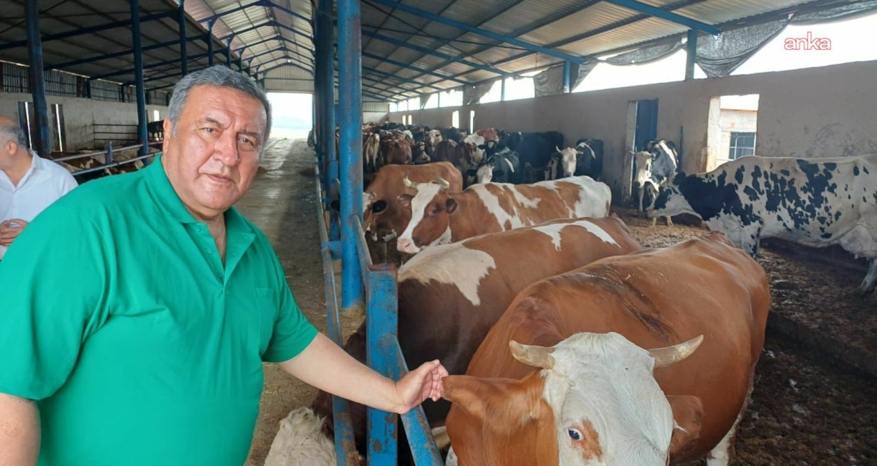 gurer et fiyatlarina isyan etti uretici degil ithalat kazaniyor gFxGEsav.jpg