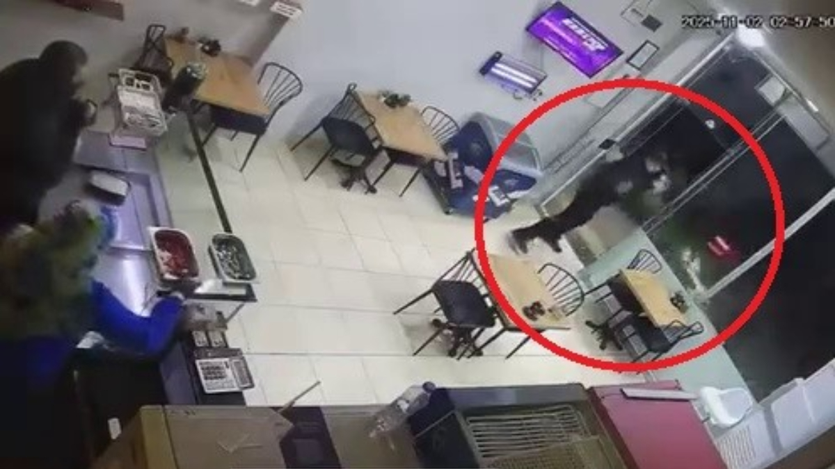 bursada kaza yaparak ilerledigi caddedeki is yerine carpti kazanin ardindan kacti TuEeIMmU.jpg