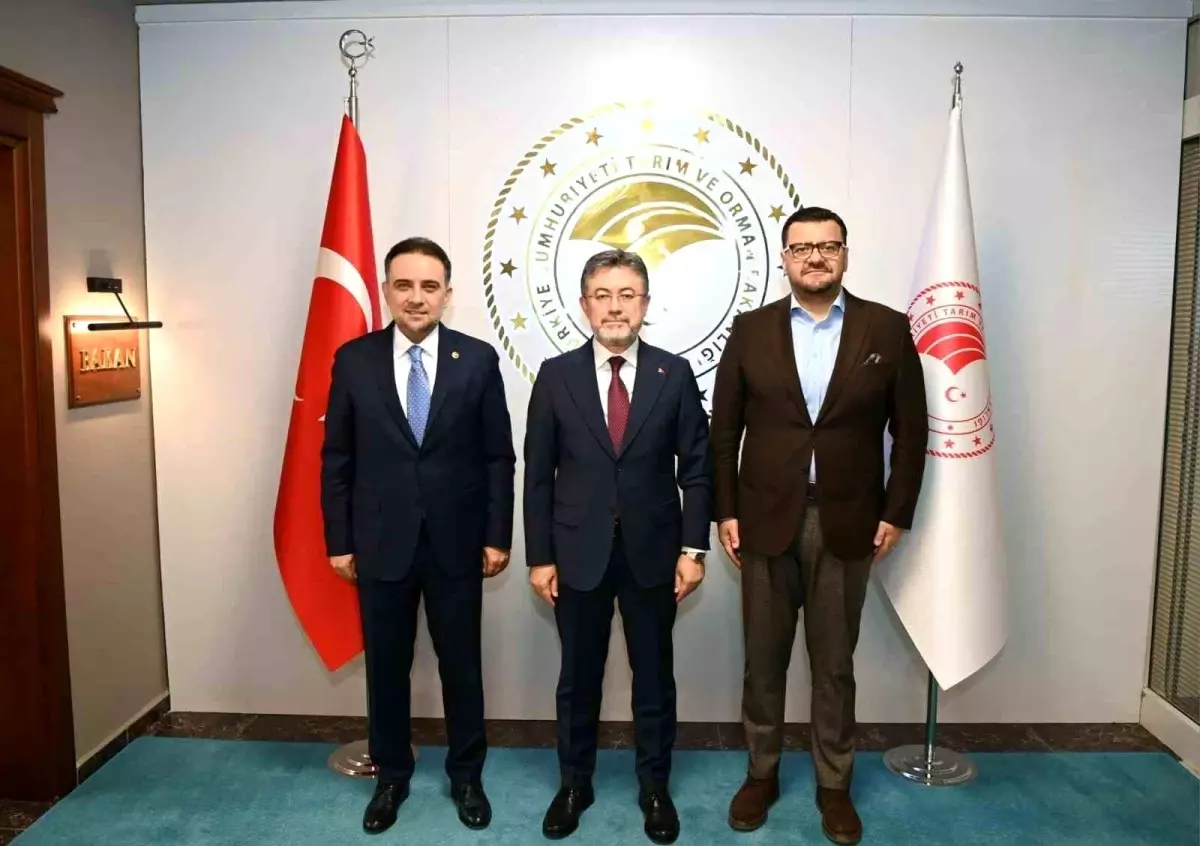 sarigol ovasina su projesi gmwcE5L7.jpg