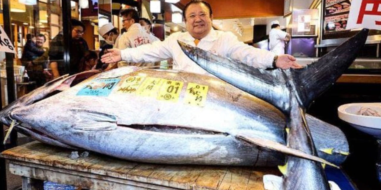 3,2 Milyon Dolarlık Ton Balığı Guinness Rekorları’na Girdi