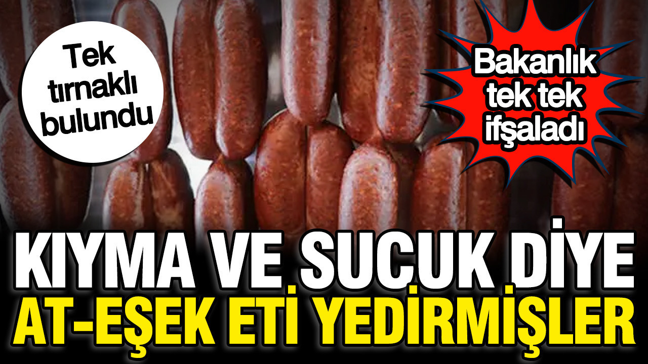 Bakanlik 3 firma acikladi sucuk ve kiyma diye at esek eti yedirmisler WjAYszLr